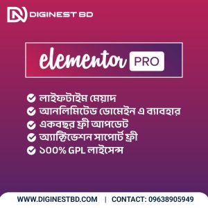 Elementor Pro Lifetime